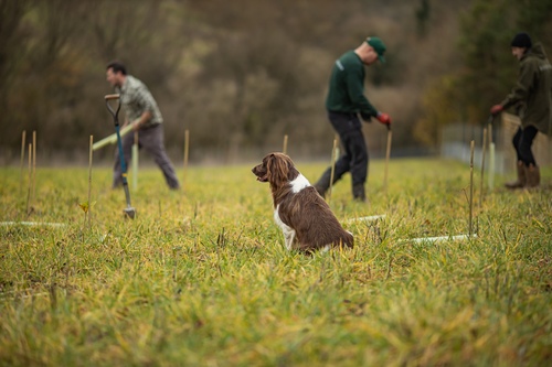 Blenheim Creating Nine New Public Access Woodlands as Part of ‘Unprecedented’ Tree Planting Project