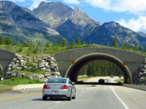 A82 Upgrade Plans for the Bonnie Banks Require Bolder Solution