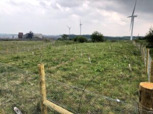 Giving back to nature: Wavin woodland created in Sheffield